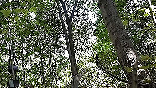 Jeny Smith tied up naked in the forest Porn Video