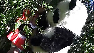 Little Red Riding Hood fucking with Panda in the wood Porn Video