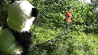 Little Red Riding Hood fucking with Panda in the wood Porn Video