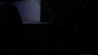 Wetwork Scene 5. Kimberly Kane, PP, Danny Wylde.mp4 Porn Video