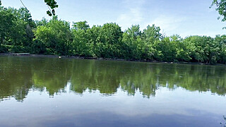 Gave Her a Creampie in Nature (almost Caught) Porn Video